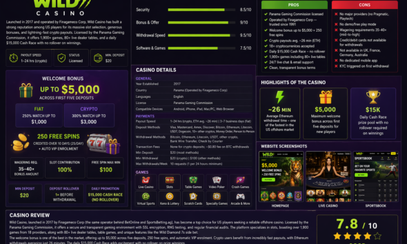 Wild Casino casino review image 1
