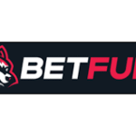 BetFury Casino Review 2026: Crypto Casino, BFG Token & Dividend Staking Explained